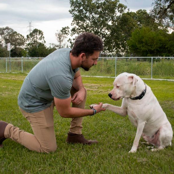 Trainer JayeYour Dog Coach