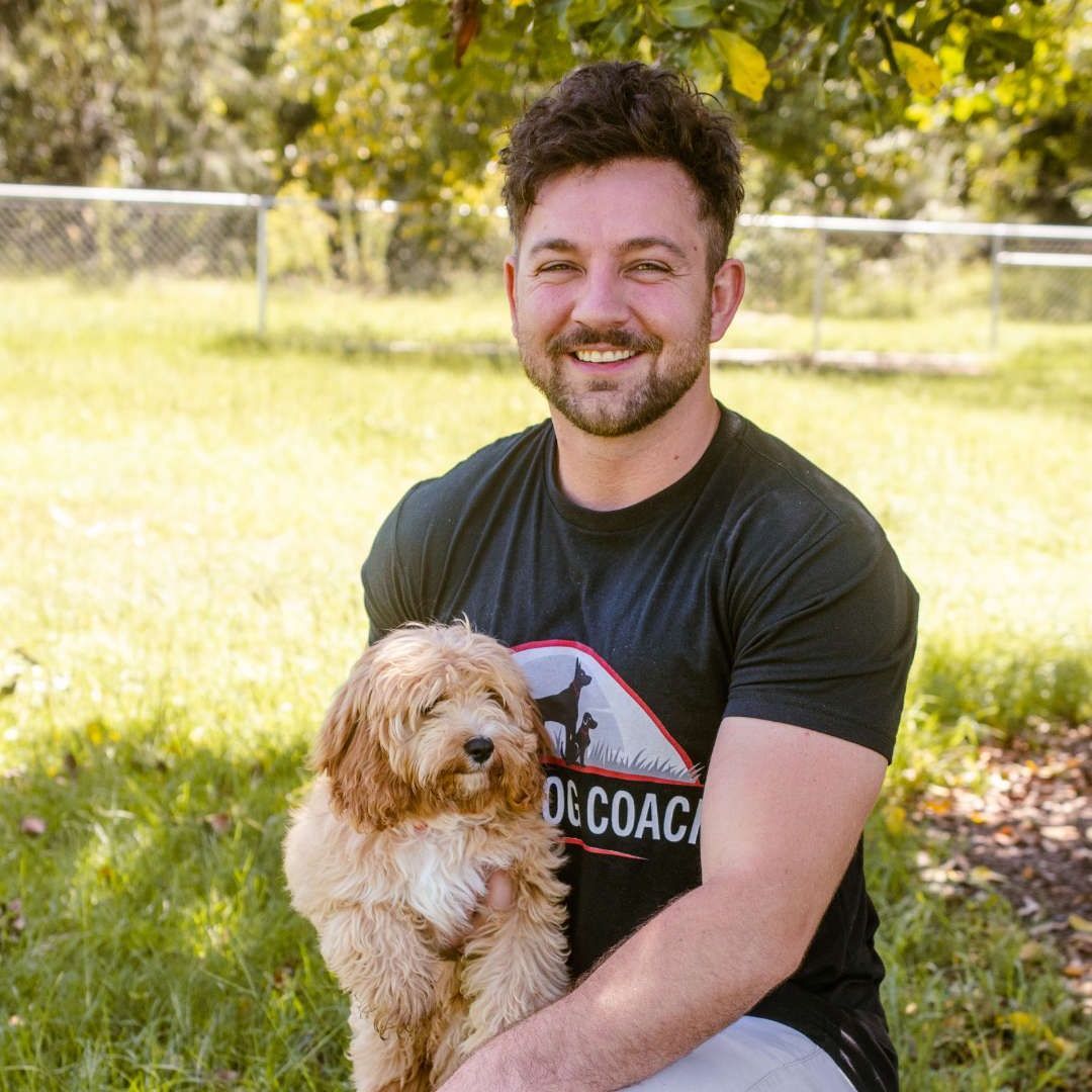 Director and Head Trainer Matt