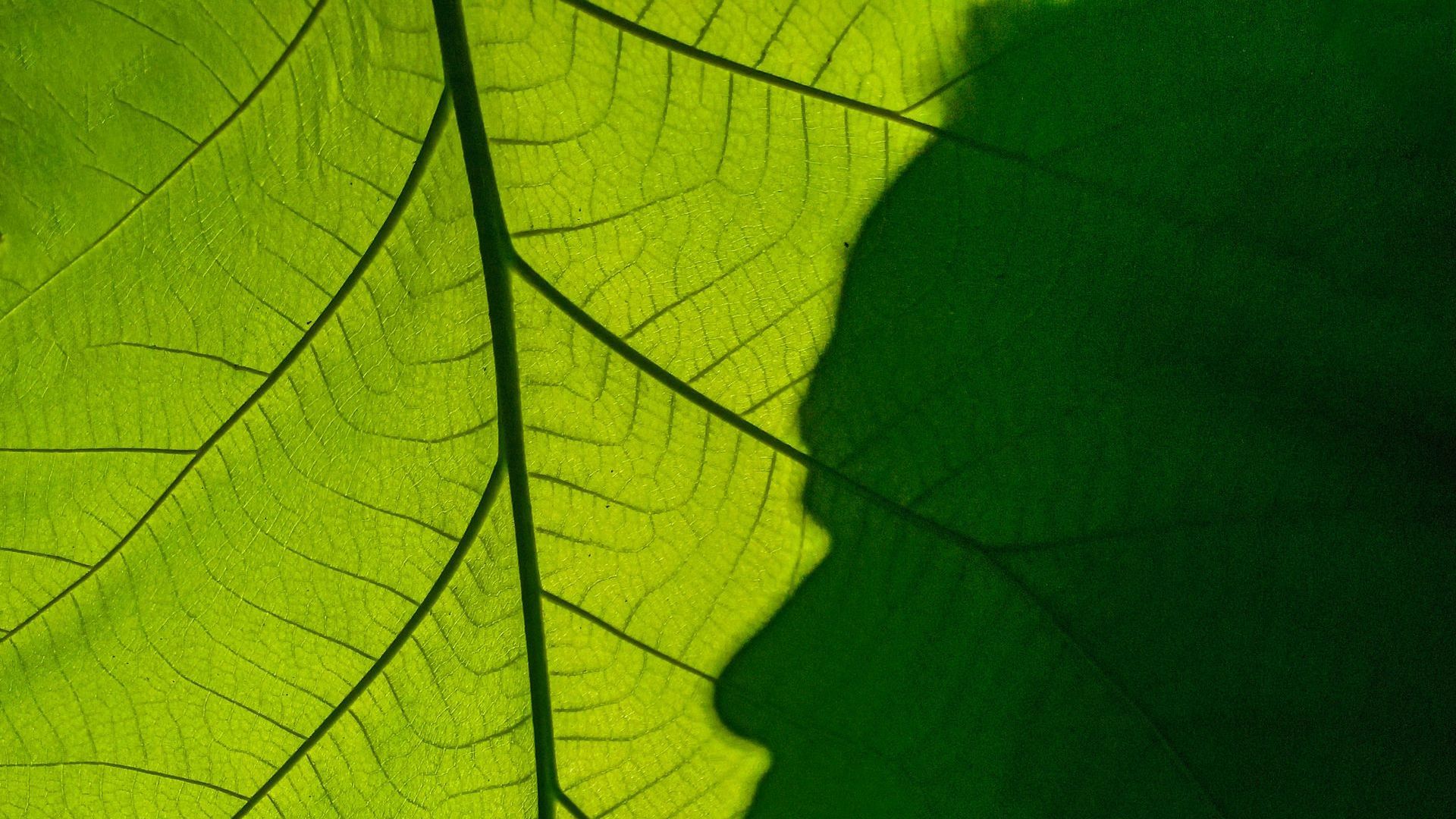 L'économie de l'eau c'est d'abord une question de mindset pas d'équipement.