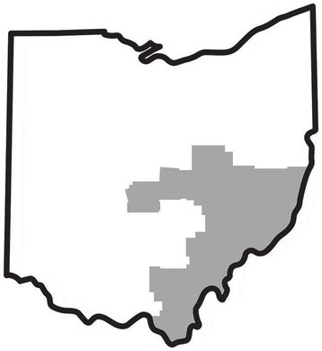 Trial Attorney Licensed in Ohio