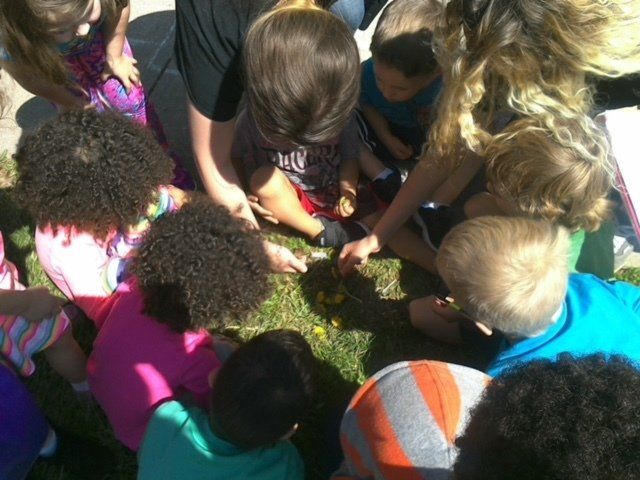 Butterfly Release — Fairfield, OH — Wilde Kingdom Early Learning Center