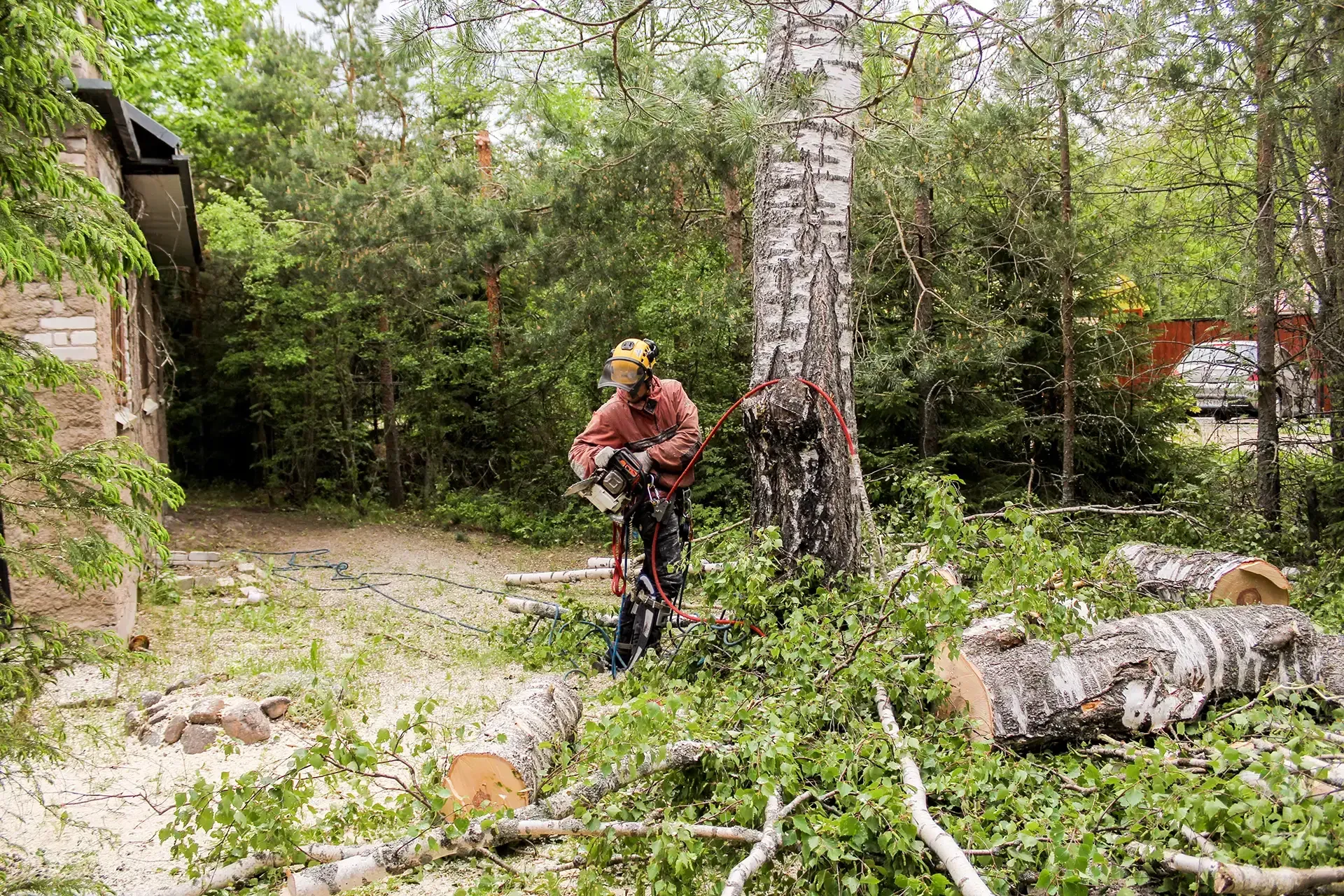 tree services worcester