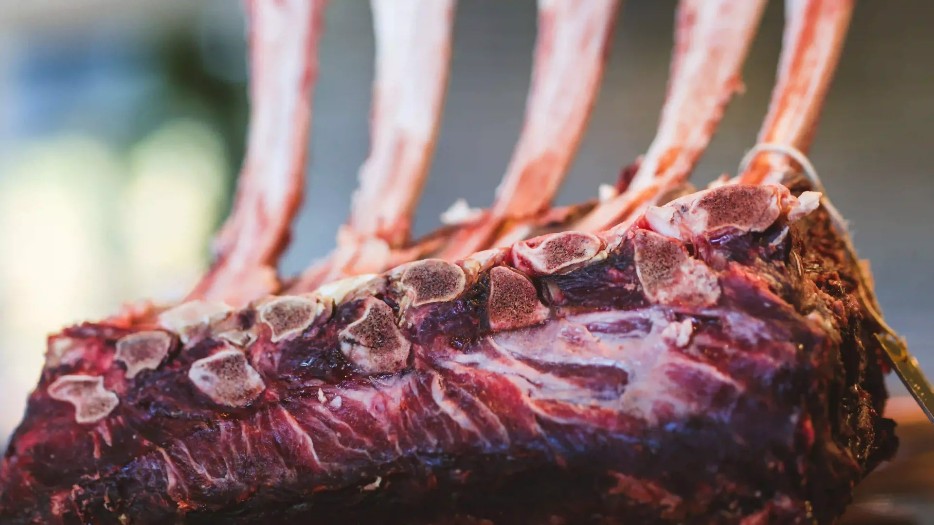 Close up view of sliced smoked pork ribs showing a clean bone separation and juicy meat texture.