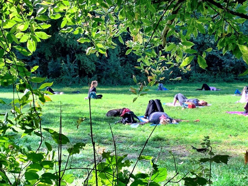 Mensen ontspannen op dekens in een zonnig, groen park, omringd door bladerrijke takken.