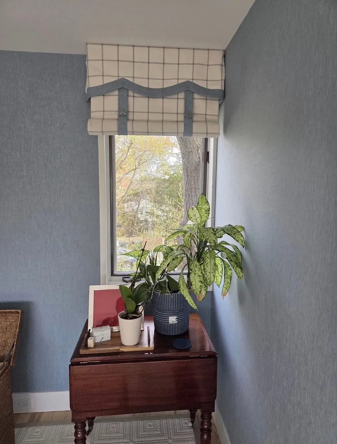 Blue room with a window, patterned valance, and a small wooden table holding potted plants.