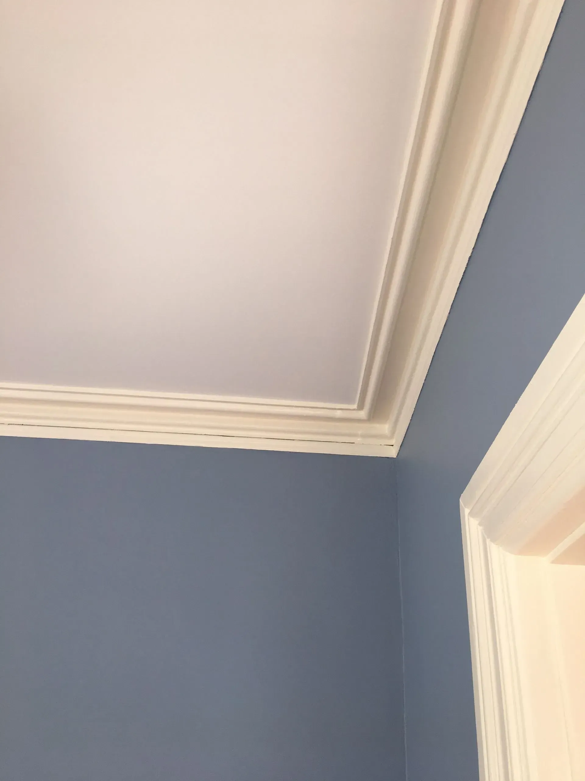 Blue room corner with white crown molding and ceiling trim