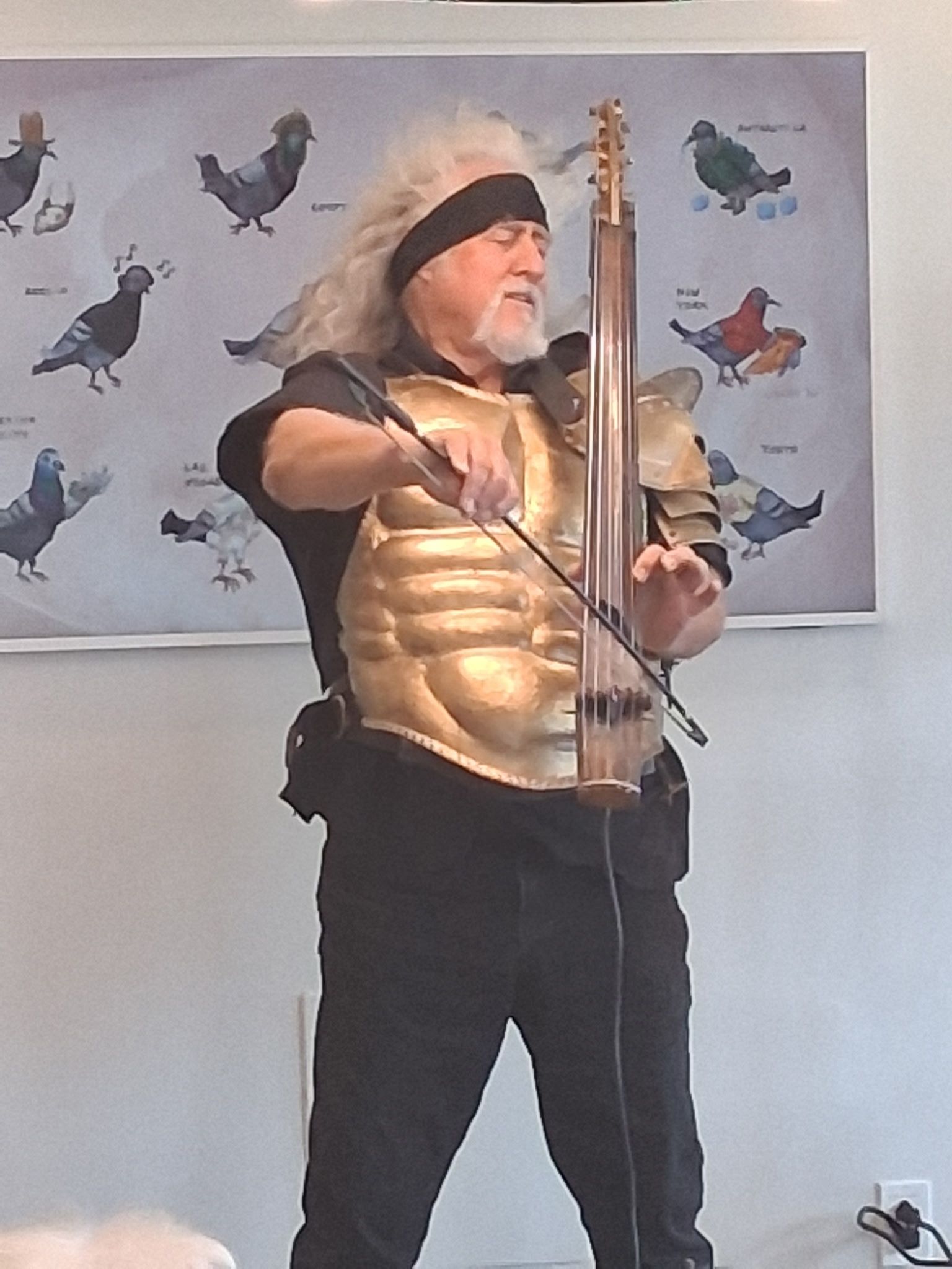 Person in gold armor and black bandana playing a bowed string instrument indoors in front of bird wall art.