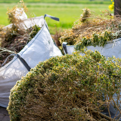 rubbish clearance Halesowen