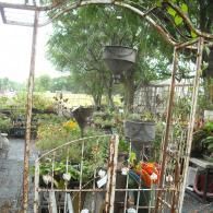 A rusted metal garden arch frames an outdoor nursery filled with various potted plants and hanging planters.