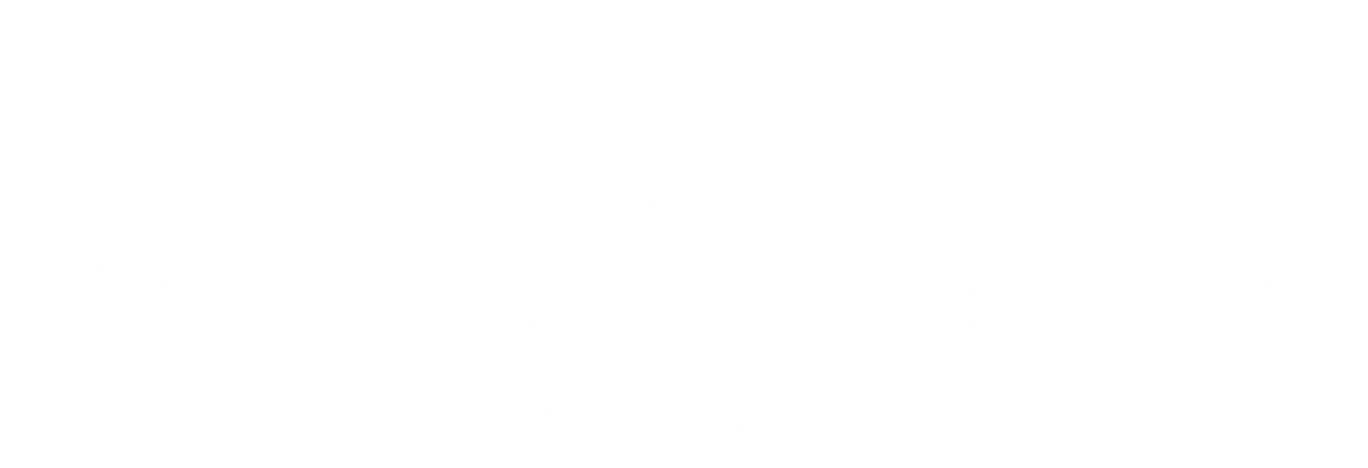 Ace Roofing Logo