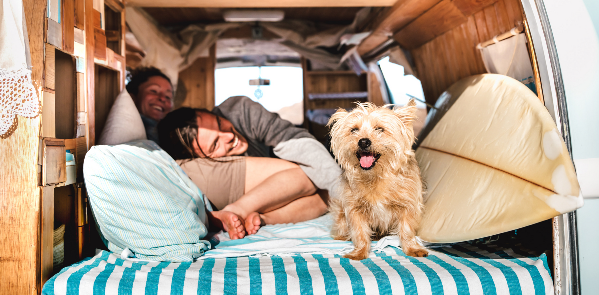 Two people and a dog in a camper van, smiling. The dog is in front of a surfboard.