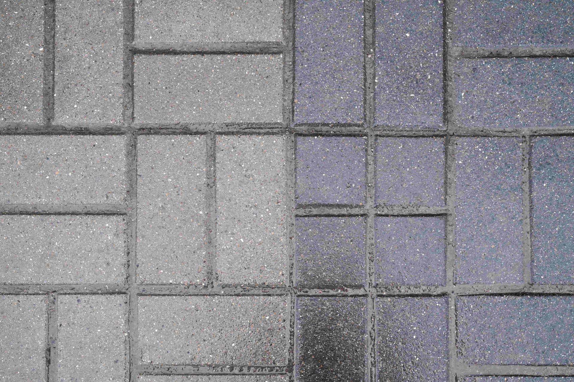 Gray and purple brick pavers in a grid pattern, some wet and shiny, suggesting rain.