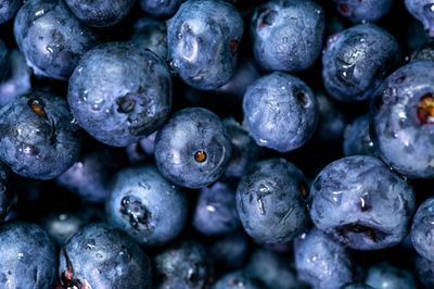 Close-up of fresh blueberries filling the frame, with a deep blue-purple color and textured skins