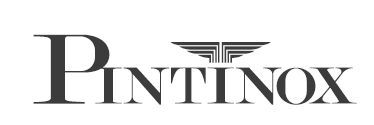Logo Pintinox in caratteri serif neri con un emblema stilizzato sopra il testo.