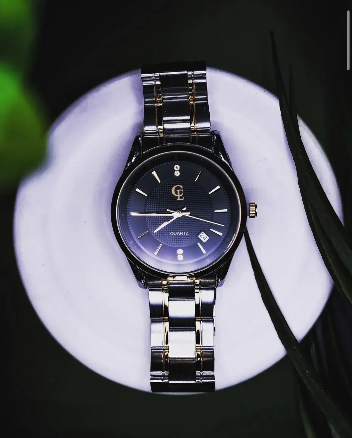 Silver and gold watch on a white circular surface, against a dark background with foliage.