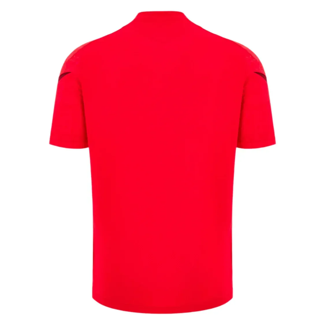 Wales 25/26 Player Training Shirt by Macron