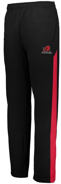 Lions - Warm-Up Pants (Adult & Youth Sizes)