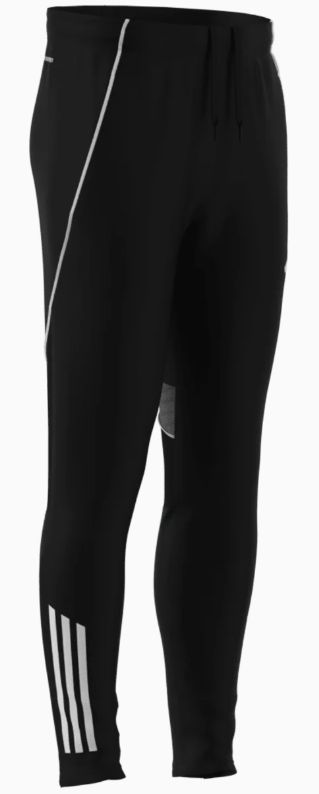 Lions - Adidas Training Pants