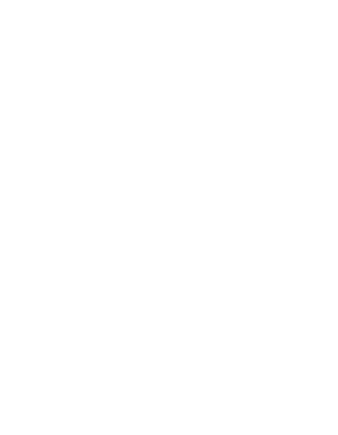 Blank white image with a thin black vertical bar along the right edge