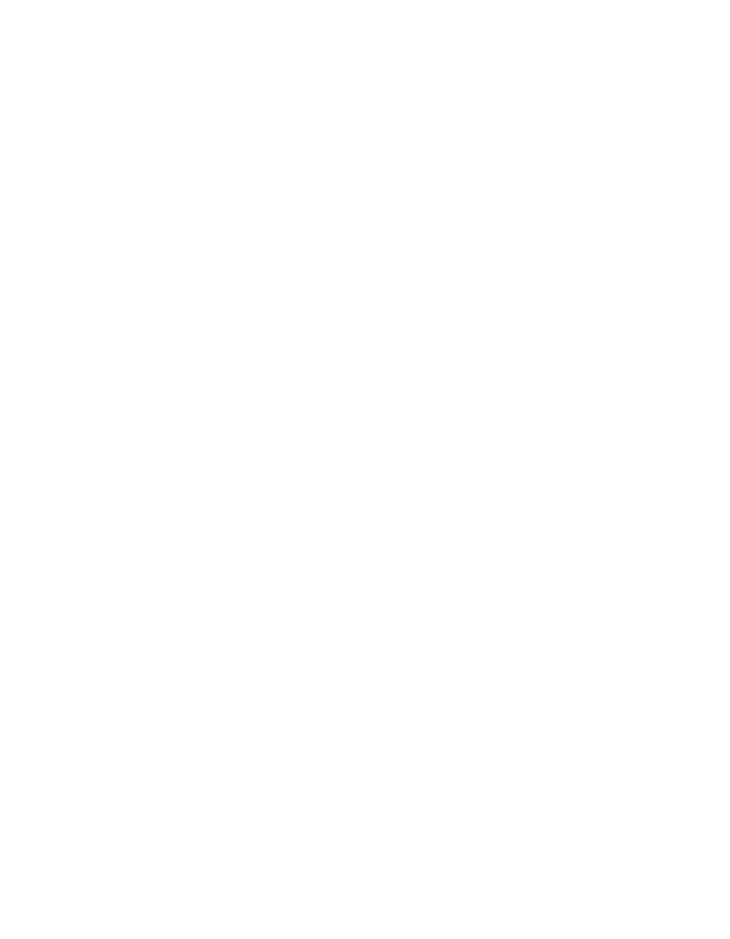 Blank white rectangle with a thin black border on the right side.