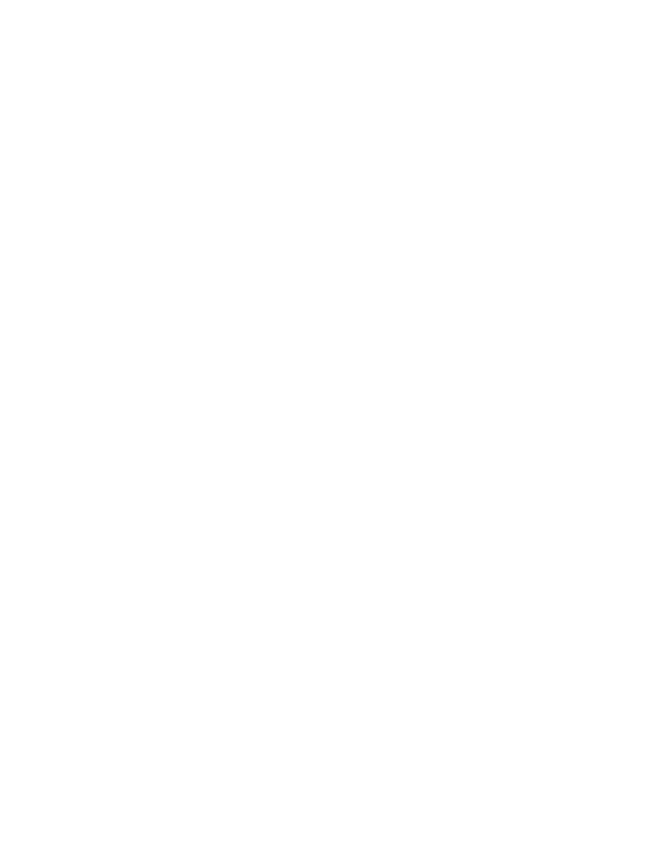 Blank white image with a narrow black vertical strip along the right edge