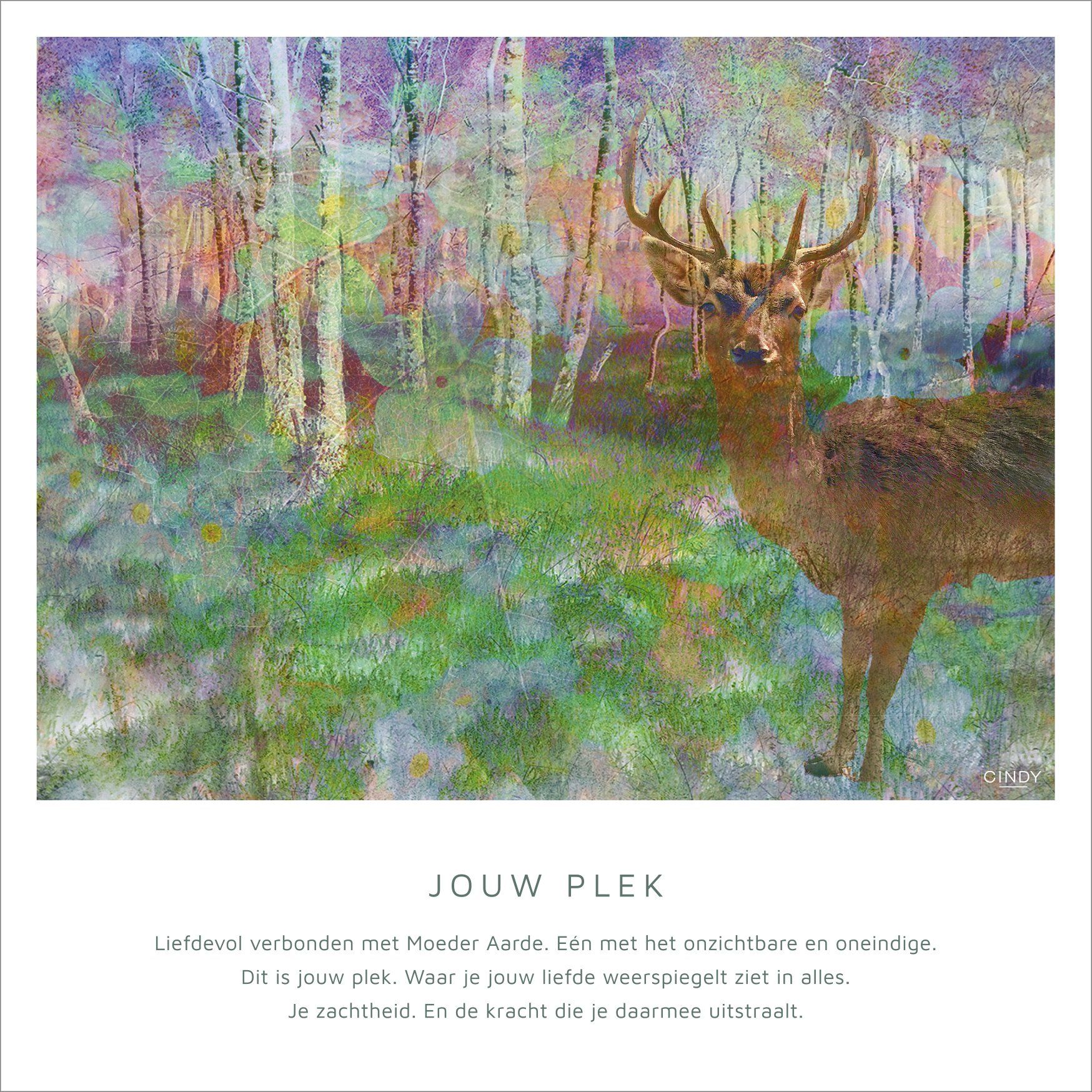 Nanaaja Ansichtkaart 148x148 Jouw Plek