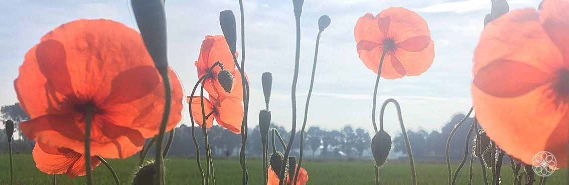 Mag je jezelf zijn van jezelf? • Klaproos Nanaaja Mag je jezelf zijn van jezelf?