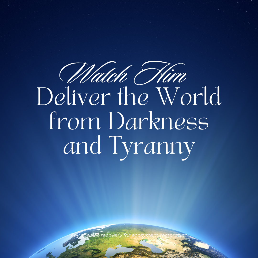 Watch him deliver the world from darkness and tyranny