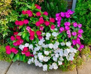 flower pot