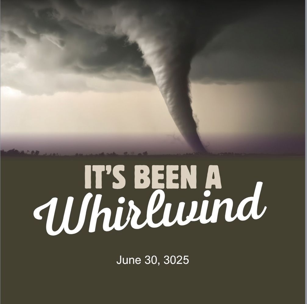 It's been a whirlwind