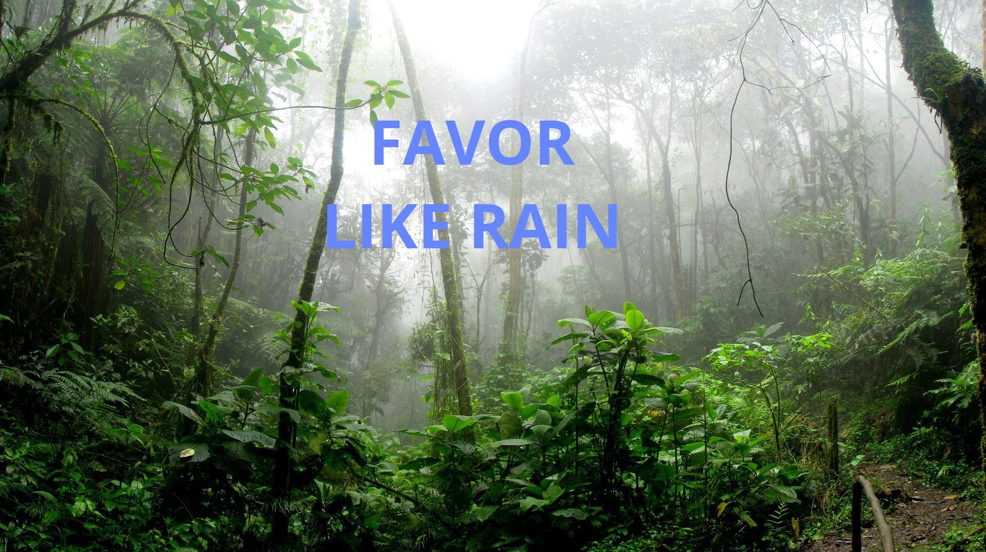 favor like rain