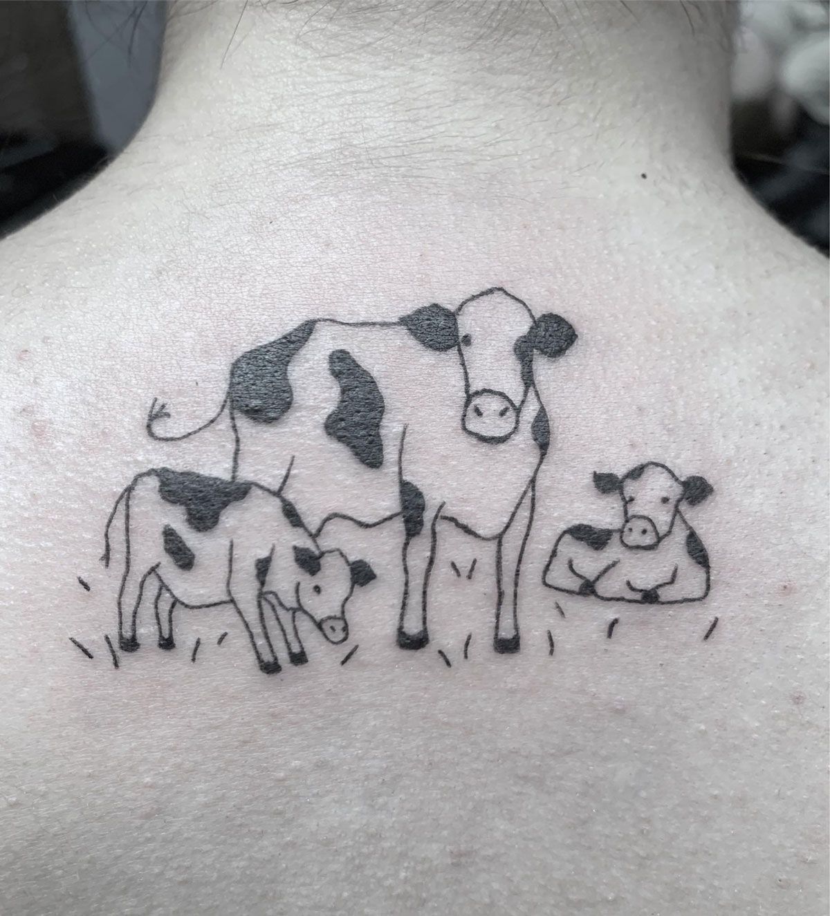 cow tattoo