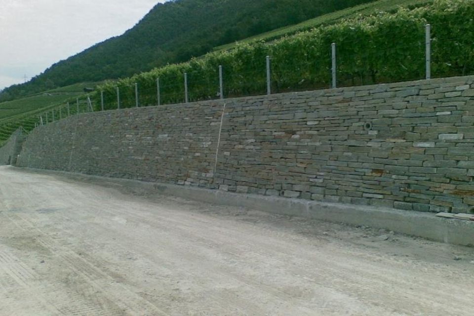 Muro per viti