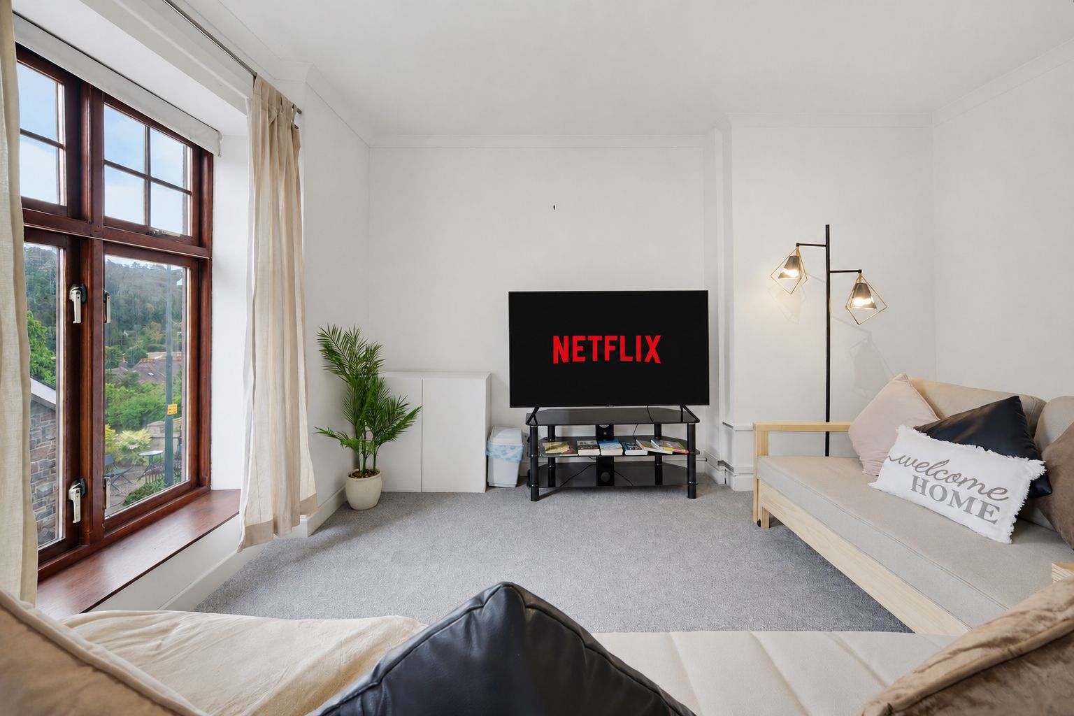 Bright living room with Netflix on TV, gray sofa, large windows, and a floor lamp