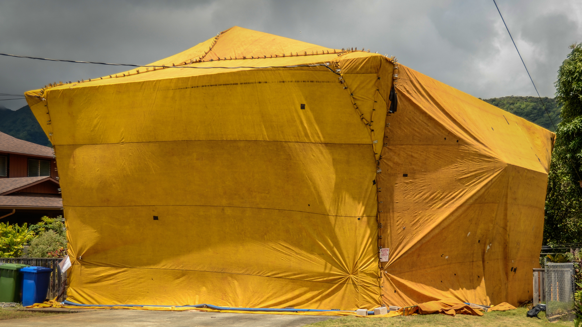 Yellow tarp covers a building, possibly for pest control. Outdoor setting with blue trash bins and greenery.