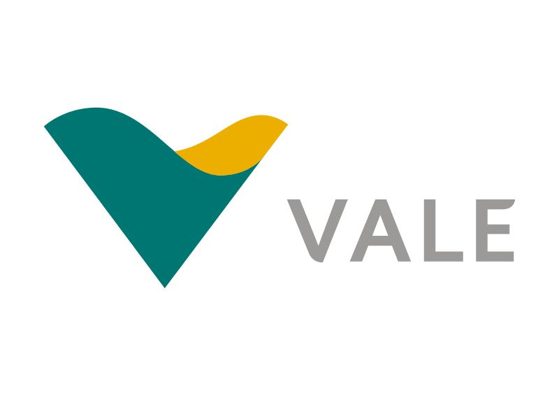 AMS VALE