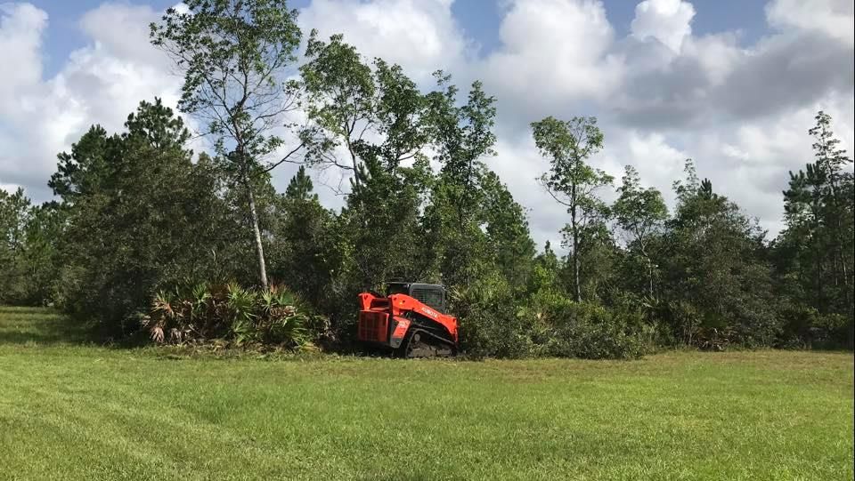 Brush Hog & Fire Mitigation