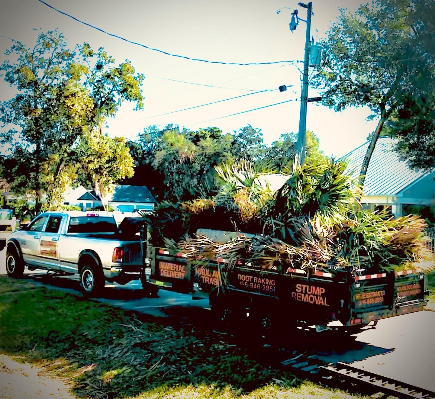 Hurricane Clean up