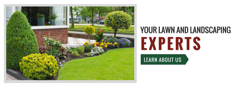 A manicured garden with shrubs and lawn next to a brick building, with text reading 