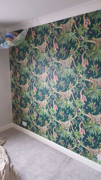 house painter decorator