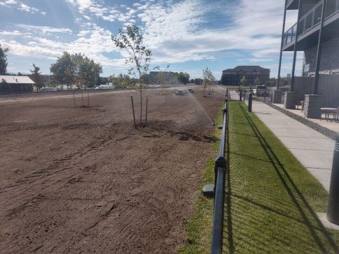 A sprinkler waters a patch of freshly prepared brown dirt near a walkway and a metal fence on a sunny day.