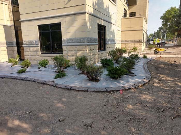 Small green shrubs planted in a mulched bed along the beige exterior wall of a building with a stone-edged border.