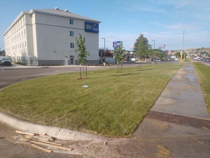 A light-colored hotel building stands behind a freshly planted lawn with young trees, adjacent to a sidewalk and road.