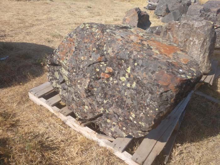 A large, mottled rock with gray, brown, and yellow patches sitting on a wooden pallet in a grassy outdoor area.