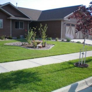 A brown house with a garage and a front lawn featuring a landscaped garden bed and a young tree.