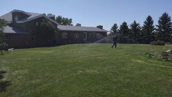 A person waters a large lawn in front of a brick house on a sunny day.