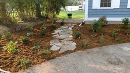 A stone path leads through a mulch-covered garden bed toward the side of a blue-sided house with white trim.