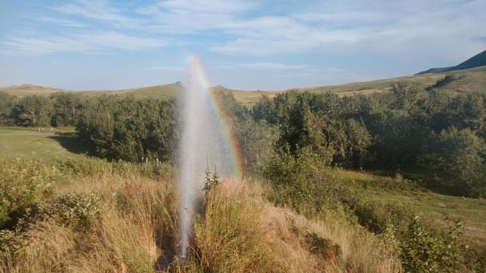 A geyser erupts in a grassy field, creating a vibrant rainbow in the mist under a clear blue sky.