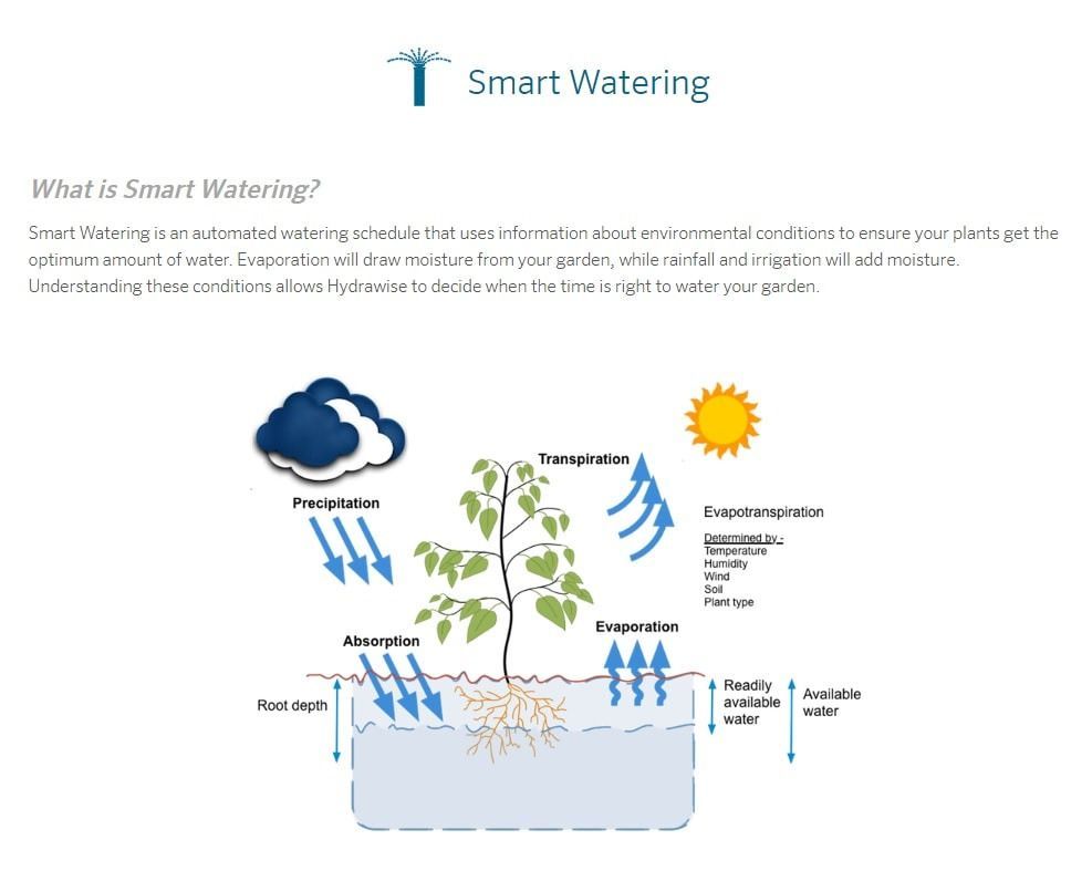 Infographic explaining smart watering, showing plant water cycles including precipitation, evaporation, and transpiration.