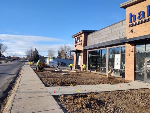 Workers in high-visibility vests perform landscaping work in the dirt area outside a commercial building on a sunny day.